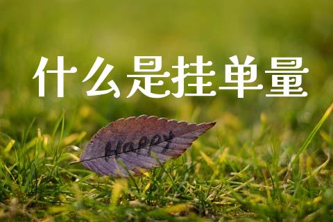 什么是挂单量_https://m.15771688.com_期货开户_第1张