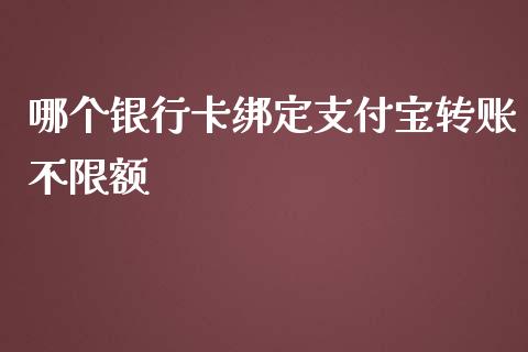 哪个银行卡绑定支付宝转账不限额_https://m.15771688.com_期货开户_第1张