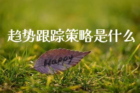 趋势跟踪策略是什么_https://m.15771688.com_道指实时行情_第1张