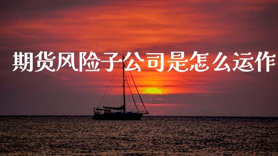 期货风险子公司是怎么运作_https://m.15771688.com_期货手续费_第1张