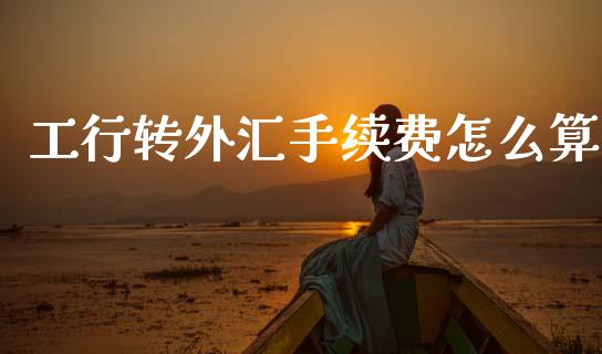 工行转外汇手续费怎么算_https://m.15771688.com_期货开户_第1张