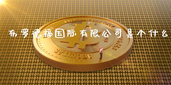 布罗德福国际有限公司是个什么_https://m.15771688.com_期货手续费_第1张