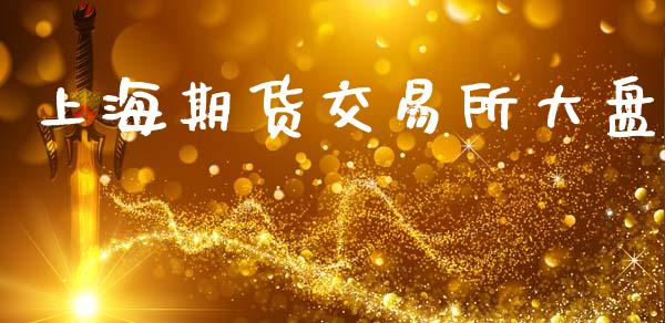 上海期货交易所大盘_https://m.15771688.com_期货手续费_第1张