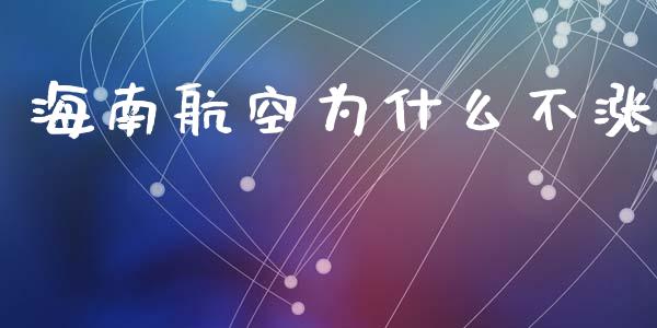 海南航空为什么不涨_https://m.15771688.com_期货手续费_第1张