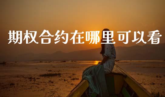 期权合约在哪里可以看_https://m.15771688.com_期货手续费_第1张