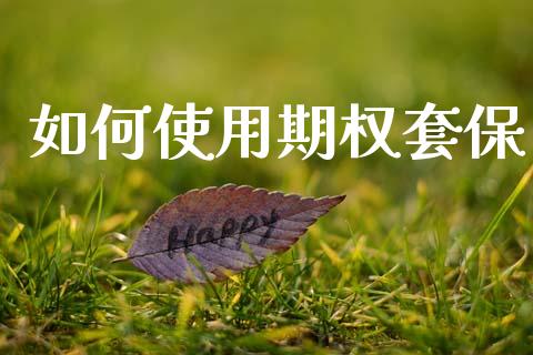 如何使用期权套保_https://m.15771688.com_期货开户_第1张