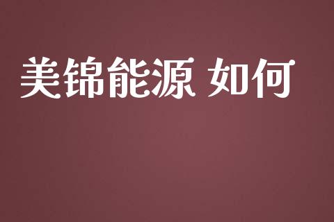 美锦能源 如何_https://m.15771688.com_美国道指_第1张