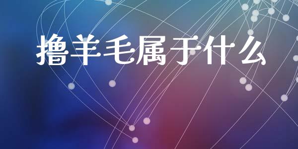 撸羊毛属于什么_https://m.15771688.com_期货手续费_第1张