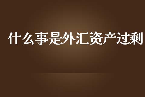 什么事是外汇资产过剩_https://m.15771688.com_期货手续费_第1张