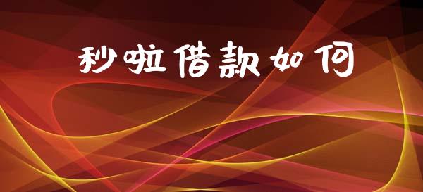 秒啦借款如何_https://m.15771688.com_道指实时行情_第1张
