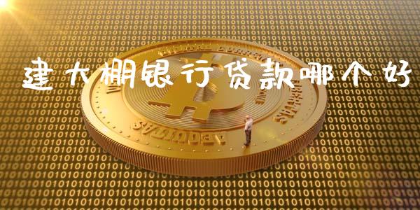 建大棚银行贷款哪个好_https://m.15771688.com_期货开户_第1张
