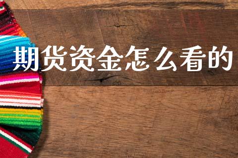 期货资金怎么看的_https://m.15771688.com_期货手续费_第1张