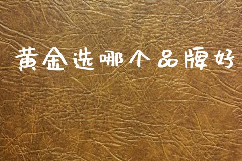 黄金选哪个品牌好_https://m.15771688.com_期货开户_第1张