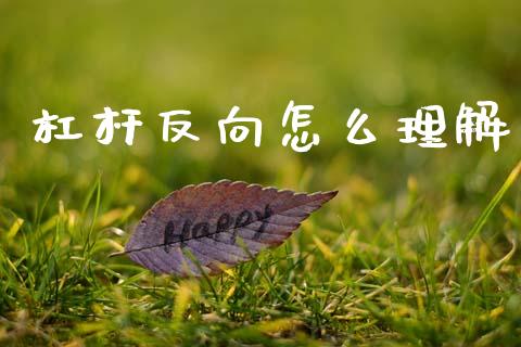 杠杆反向怎么理解_https://m.15771688.com_美国道指_第1张