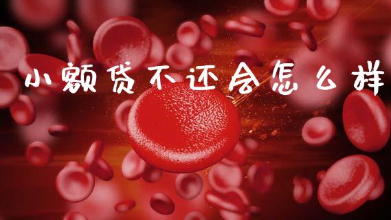 小额贷不还会怎么样_https://m.15771688.com_期货开户_第1张