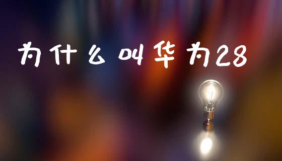 为什么叫华为28_https://m.15771688.com_道指实时行情_第1张