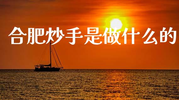 合肥炒手是做什么的_https://m.15771688.com_期货手续费_第1张