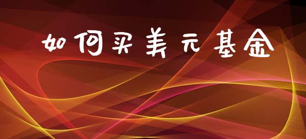 如何买美元基金_https://m.15771688.com_期货开户_第1张