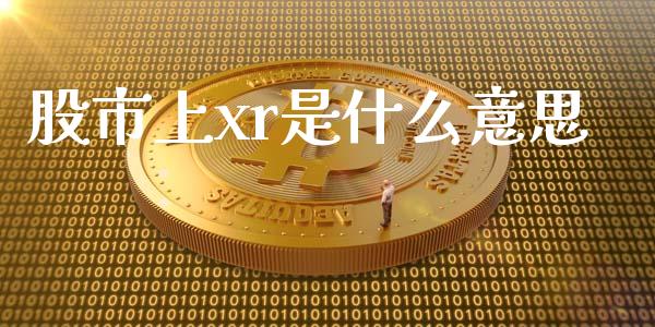 股市上xr是什么意思_https://m.15771688.com_期货开户_第1张