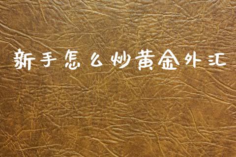 新手怎么炒黄金外汇_https://m.15771688.com_美国道指_第1张