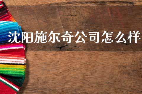 沈阳施尔奇公司怎么样_https://m.15771688.com_期货手续费_第1张