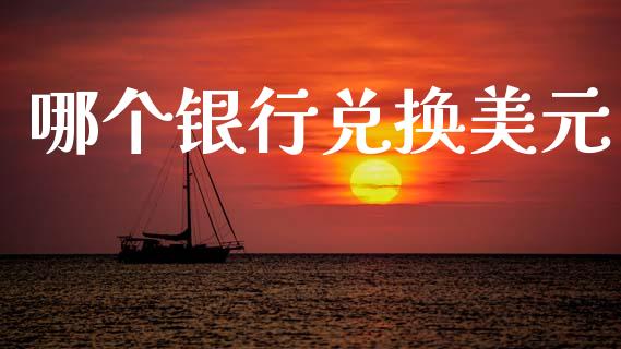 哪个银行兑换美元_https://m.15771688.com_期货开户_第1张
