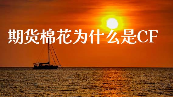 期货棉花为什么是CF_https://m.15771688.com_美国道指_第1张