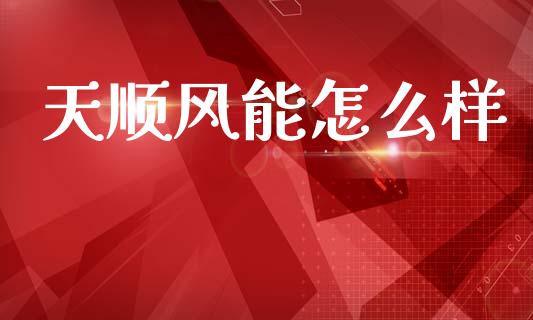 天顺风能怎么样_https://m.15771688.com_期货手续费_第1张
