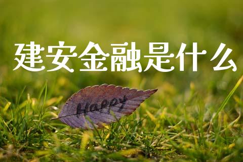 建安金融是什么_https://m.15771688.com_期货开户_第1张