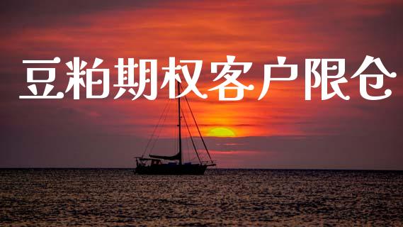 豆粕期权客户限仓_https://m.15771688.com_美国道指_第1张