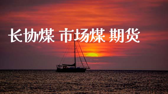 长协煤 市场煤 期货_https://m.15771688.com_期货手续费_第1张
