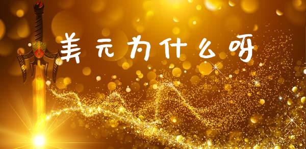 美元为什么呀_https://m.15771688.com_道指实时行情_第1张