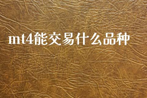 mt4能交易什么品种_https://m.15771688.com_道指实时行情_第1张