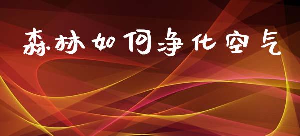 森林如何净化空气_https://m.15771688.com_期货开户_第1张