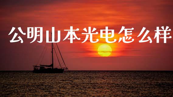 公明山本光电怎么样_https://m.15771688.com_美国道指_第1张