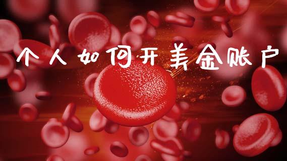 个人如何开美金账户_https://m.15771688.com_期货开户_第1张