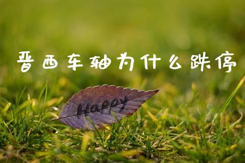 晋西车轴为什么跌停_https://m.15771688.com_期货手续费_第1张