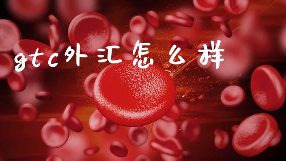 gtc外汇怎么样_https://m.15771688.com_期货开户_第1张