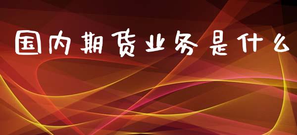 国内期货业务是什么_https://m.15771688.com_美国道指_第1张