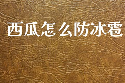 西瓜怎么防冰雹_https://m.15771688.com_期货开户_第1张