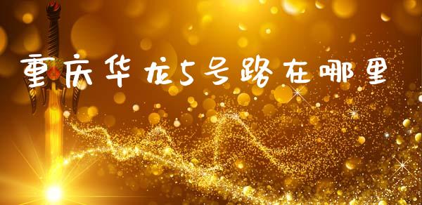 重庆华龙5号路在哪里_https://m.15771688.com_美国道指_第1张