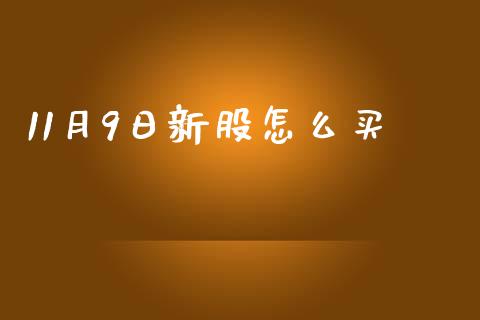 11月9日新股怎么买_https://m.15771688.com_期货手续费_第1张