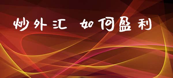 炒外汇 如何盈利_https://m.15771688.com_期货手续费_第1张