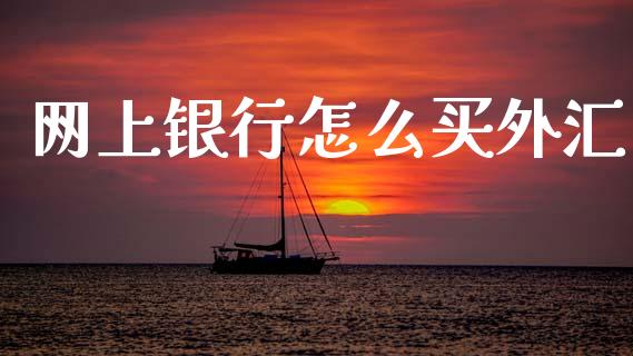 网上银行怎么买外汇_https://m.15771688.com_期货开户_第1张