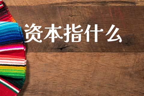 资本指什么_https://m.15771688.com_道指实时行情_第1张