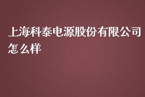 上海科泰电源股份有限公司怎么样_https://m.15771688.com_美国道指_第1张