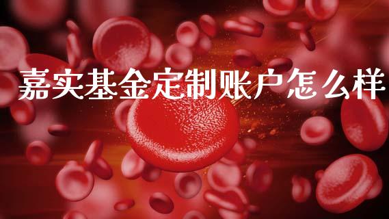 嘉实基金定制账户怎么样_https://m.15771688.com_期货手续费_第1张