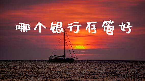 哪个银行存管好_https://m.15771688.com_期货开户_第1张