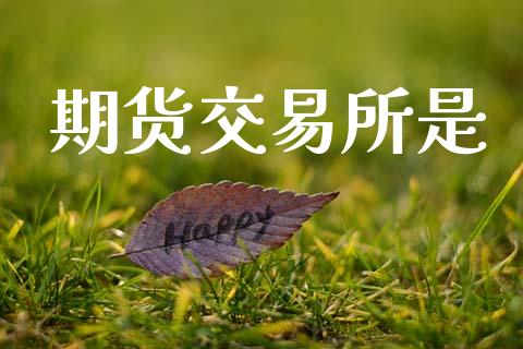 期货交易所是_https://m.15771688.com_期货开户_第1张