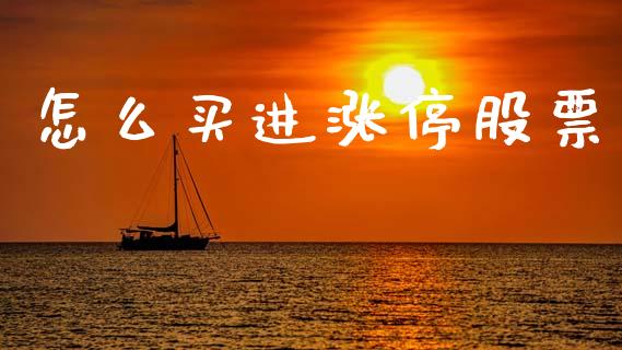 怎么买进涨停股票_https://m.15771688.com_期货开户_第1张
